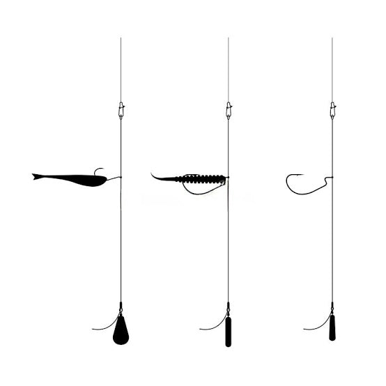 Keys to Drop Shot Fishing