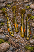 5” Swimbait