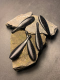 3.25” Ned Leech
