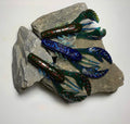 4" Killa Craw
