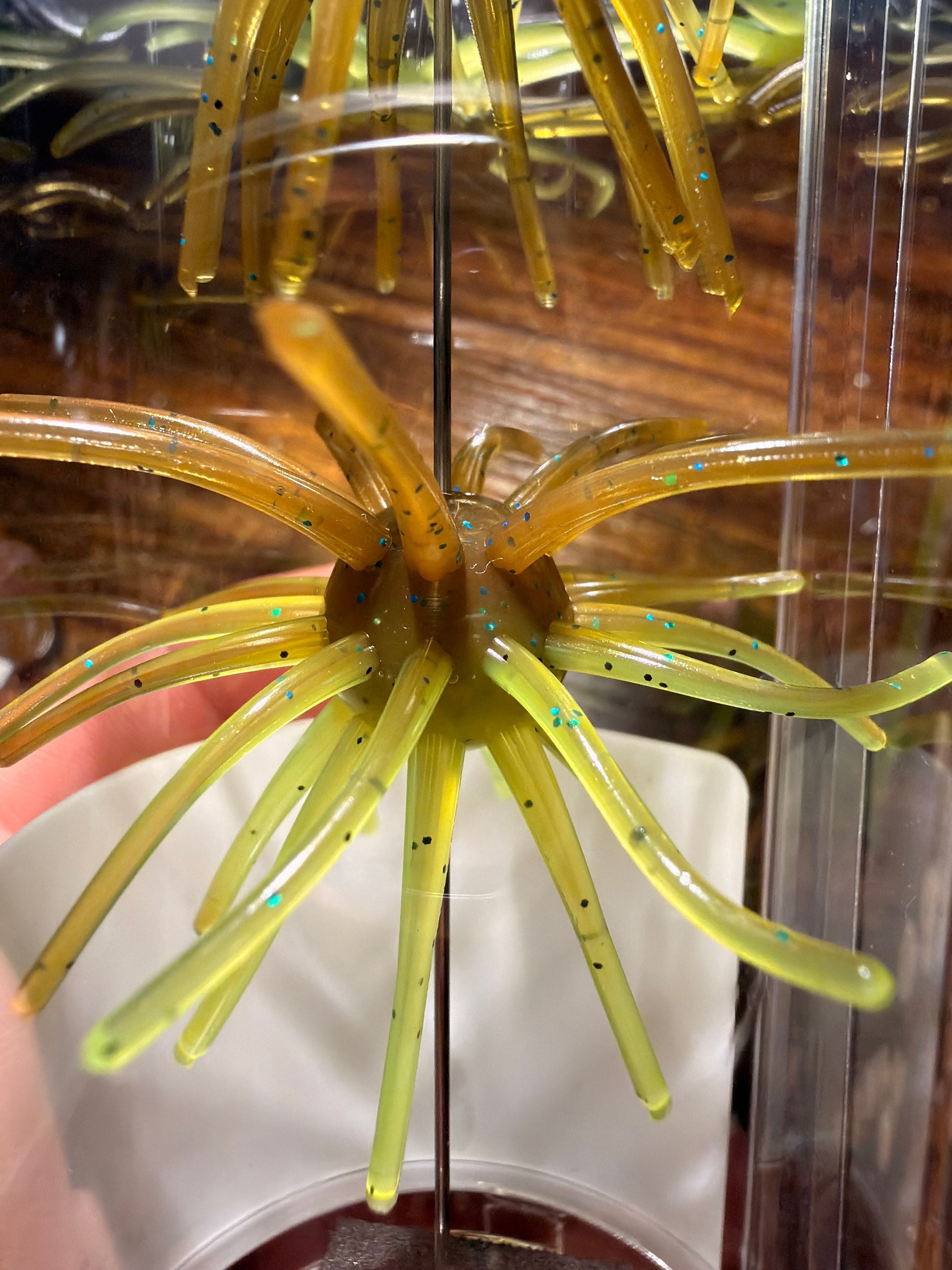 Kiwi